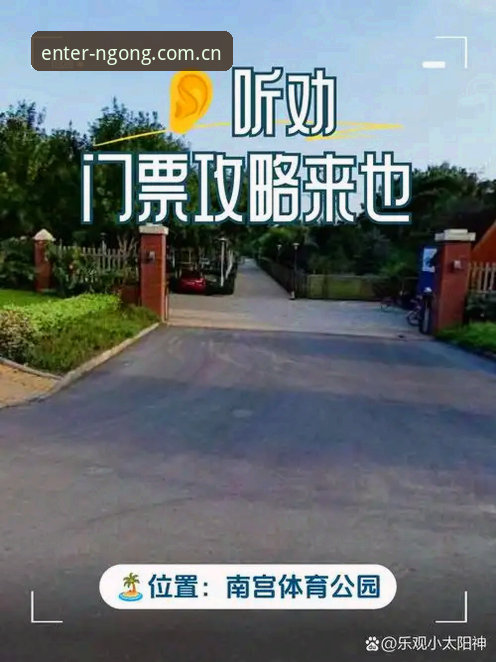 南宫体育app怎么样？南宫国际平台深度分析：从数据体验到安全路径的全面解析